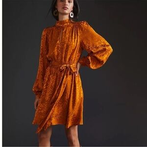 Anthropologie Mustard Animal Jacquard Long Sleeve Mini Dress – XS